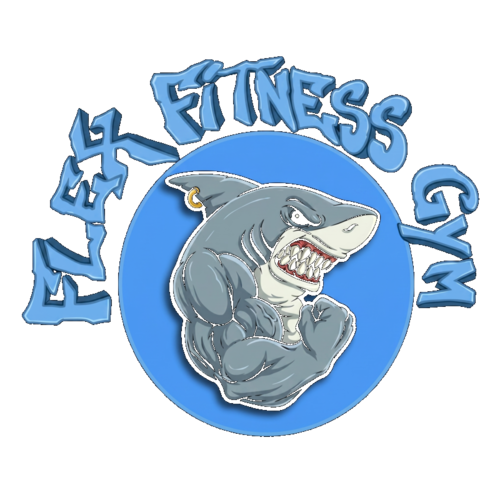 Flex Fitness Gym logo
